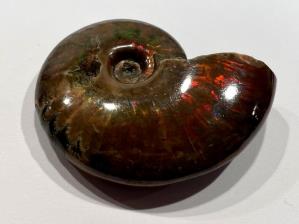 Red Iridescent Ammonite 5.2cm | Image 3