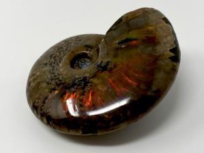 Ammonite Red Iridescent 6.8cm | Image 4