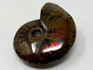 Ammonite Red Iridescent 6.8cm | Image 5