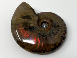 Ammonite Red Iridescent 6.8cm | Image 2