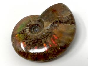 Ammonite Red Iridescent 4.2cm | Image 4