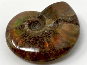 Ammonite Red Iridescent 4.2cm | Image 2