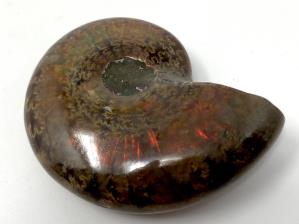 Ammonite Red Iridescent 4.4cm | Image 3