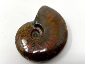 Ammonite Red Iridescent 4.1cm | Image 4