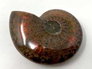 Ammonite Red Iridescent 4.4cm | Image 4