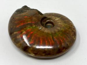 Ammonite Red Iridescent 6.5cm | Image 4