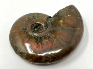 Ammonite Red Iridescent 4.8cm | Image 3