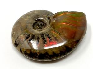 Ammonite Red Iridescent 4.9cm | Image 2