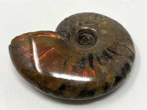 Ammonite Red Iridescent 4.9cm | Image 3