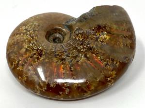 Ammonite Red Iridescent 6.5cm | Image 2