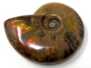 Ammonite Red Iridescent 4.9cm | Image 3