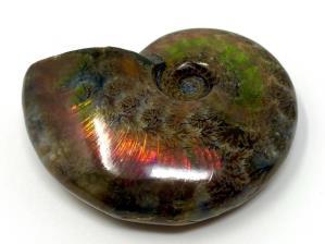 Ammonite Red Iridescent 5.8cm | Image 2