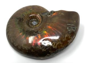 Ammonite Red Iridescent 4.5cm | Image 2
