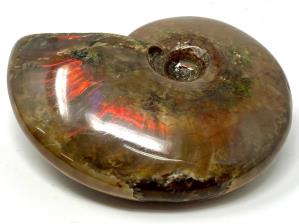Ammonite Red Iridescent 7cm | Image 3