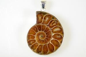 Ammonite Pendant 13.6grams | Image 2