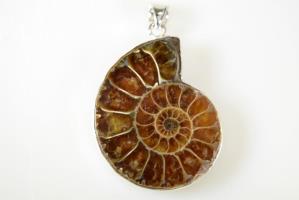 Ammonite Pendant 12.8grams | Image 2