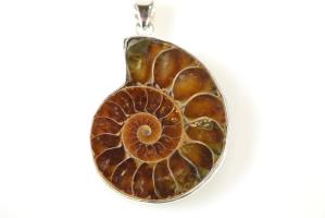 Ammonite Pendant 15.5grams | Image 2