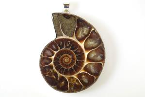 Large Ammonite Pendant 40grams | Image 2