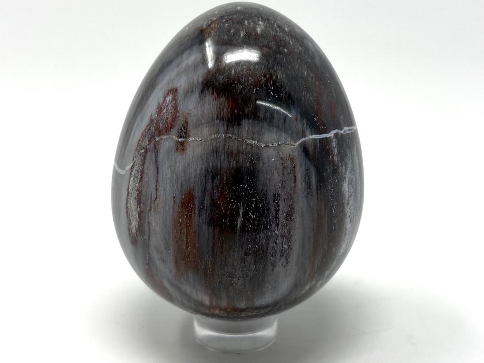 Fossil Wood Egg 5.6cm | Image 1