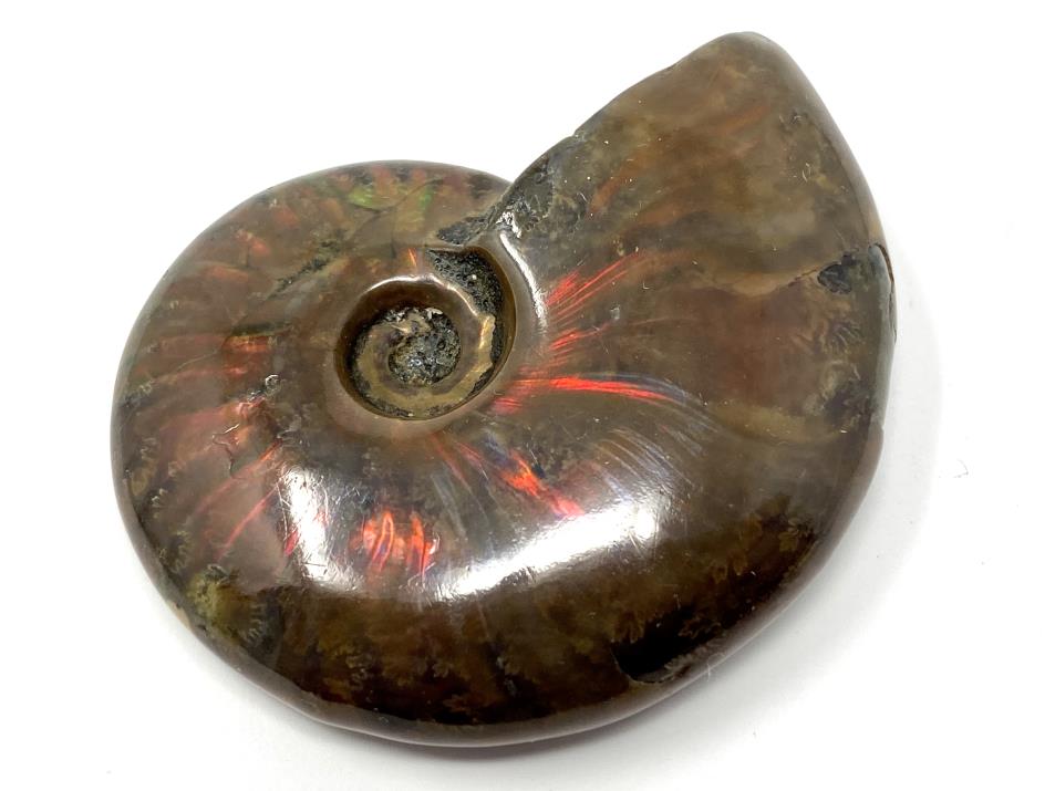 Ammonite Red Iridescent 5.3cm | Image 1