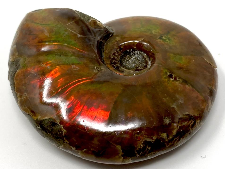 Ammonite Red Iridescent 6cm | Image 1