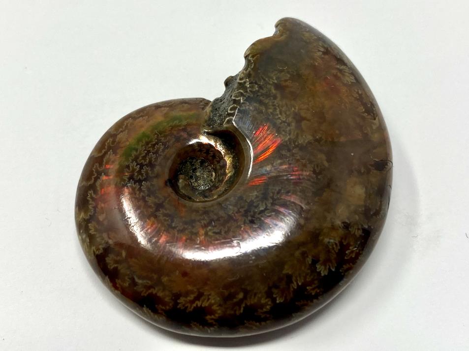  Ammonite Red Iridescent 4.4cm | Image 1