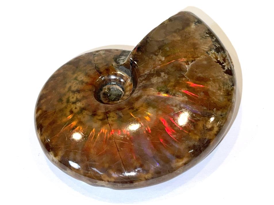 Ammonite Red Iridescent 6.8cm | Image 1