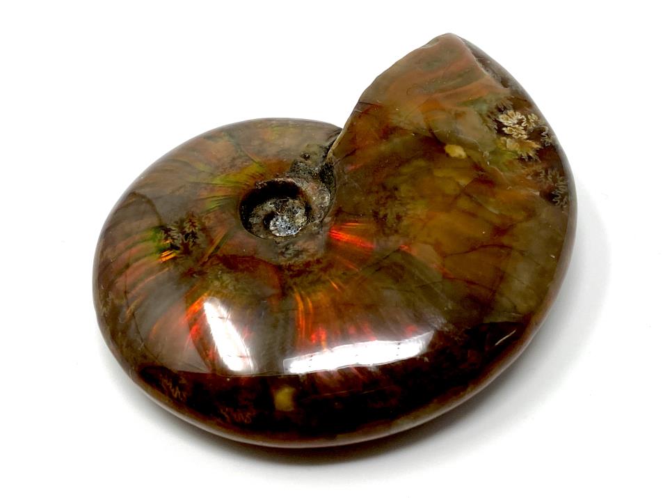 Ammonite Red Iridescent 7.1cm | Image 1
