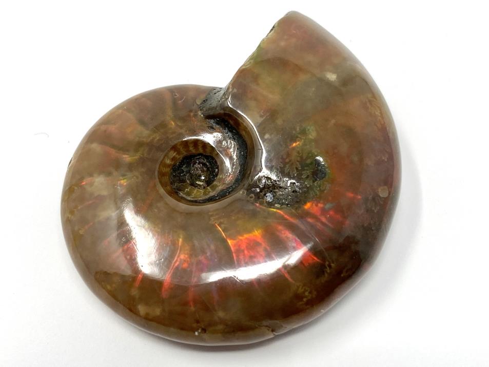 Ammonite Red Iridescent 4.4cm | Image 1
