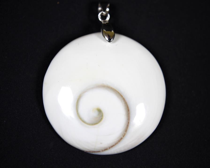 Shiva Shell Pendant 3.19cm | Image 1