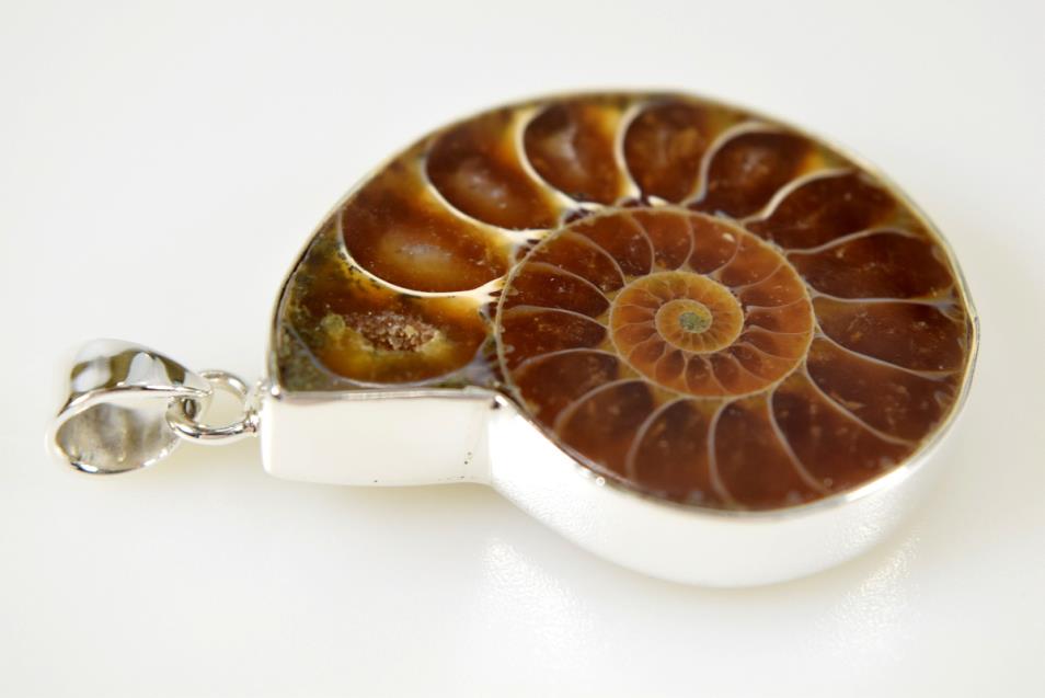 Ammonite Pendant 12grams | Image 1