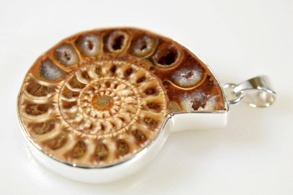 Ammonite Pendant 13grams | Image 1