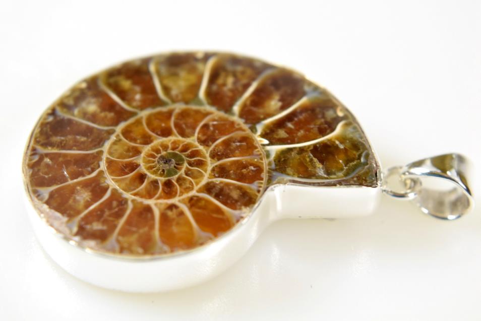 Ammonite Pendant 12.8grams | Image 1