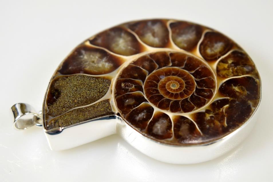 Large Ammonite Pendant 40grams | Image 1